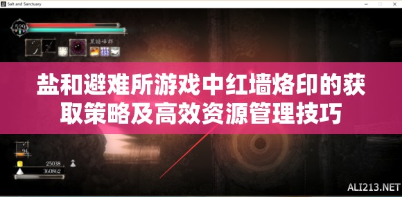 鹽和避難所游戲中紅墻烙印的獲取策略及高效資源管理技巧