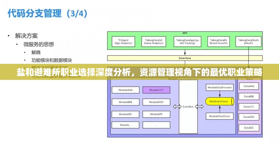 鹽和避難所職業(yè)選擇深度分析，資源管理視角下的最優(yōu)職業(yè)策略