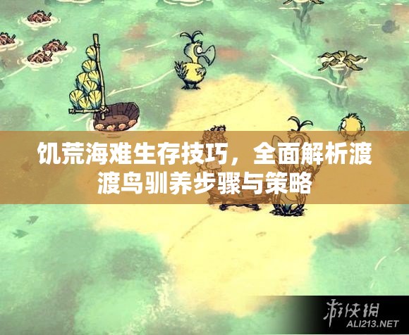 饑荒海難生存技巧，全面解析渡渡鳥馴養(yǎng)步驟與策略