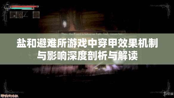 鹽和避難所游戲中穿甲效果機(jī)制與影響深度剖析與解讀