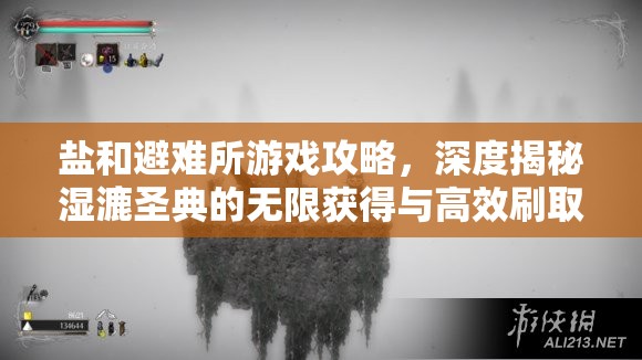 鹽和避難所游戲攻略，深度揭秘濕漉圣典的無(wú)限獲得與高效刷取技巧