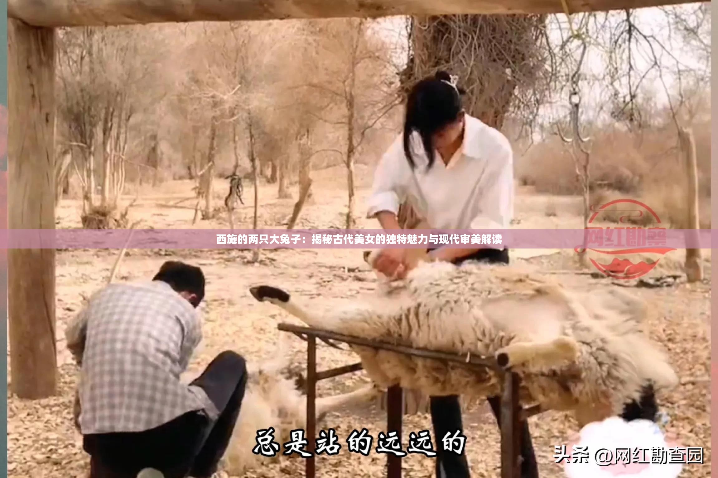 西施的兩只大兔子：揭秘古代美女的獨(dú)特魅力與現(xiàn)代審美解讀