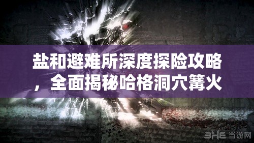 鹽和避難所深度探險(xiǎn)攻略，全面揭秘哈格洞穴篝火精確位置