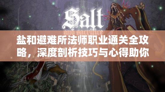 鹽和避難所法師職業(yè)通關(guān)全攻略，深度剖析技巧與心得助你征服難關(guān)