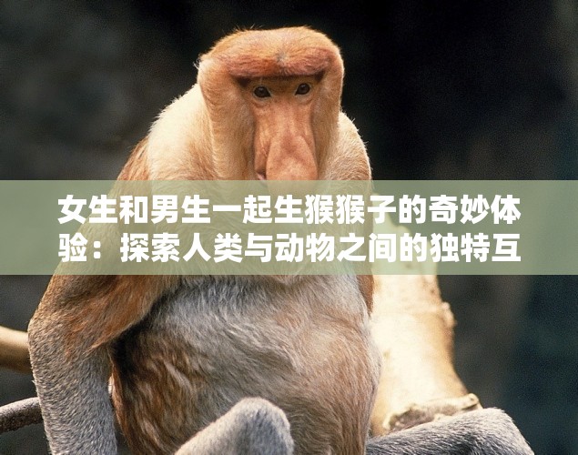 女生和男生一起生猴猴子的奇妙體驗：探索人類與動物之間的獨特互動故事