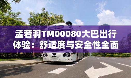孟若羽TM00080大巴出行體驗：舒適度與安全性全面解析，乘客真實反饋大公開