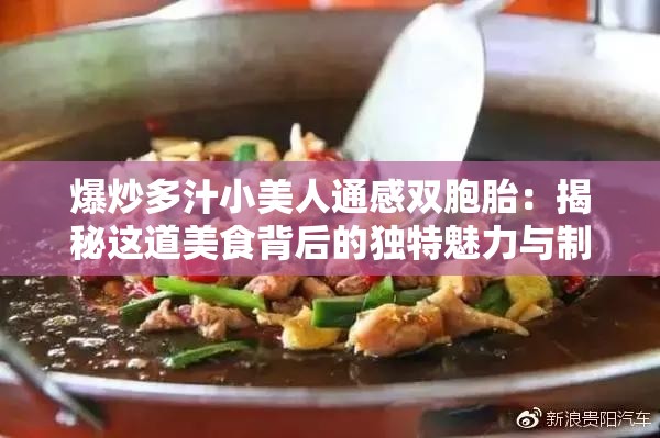 爆炒多汁小美人通感雙胞胎：揭秘這道美食背后的獨特魅力與制作技巧