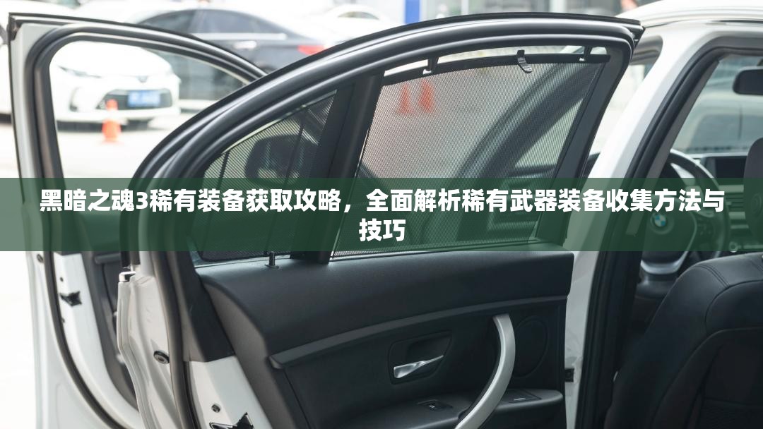 黑暗之魂3稀有裝備獲取攻略，全面解析稀有武器裝備收集方法與技巧