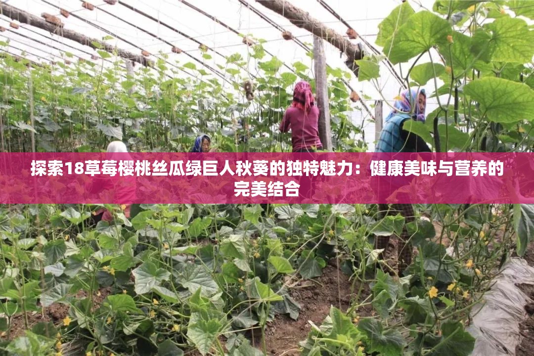探索18草莓櫻桃絲瓜綠巨人秋葵的獨(dú)特魅力：健康美味與營(yíng)養(yǎng)的完美結(jié)合