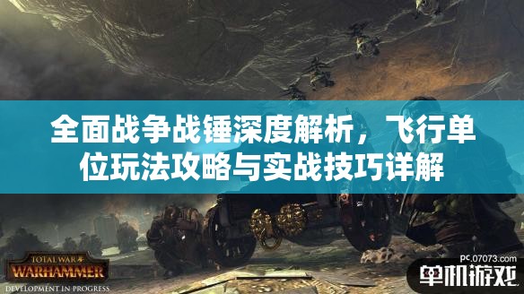 全面戰(zhàn)爭戰(zhàn)錘深度解析，飛行單位玩法攻略與實戰(zhàn)技巧詳解