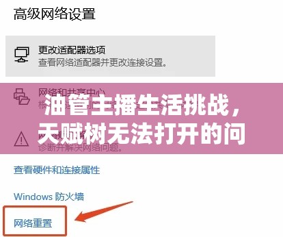 油管主播生活挑戰(zhàn)，天賦樹無法打開的問題解決策略及其在資源管理中的重要性