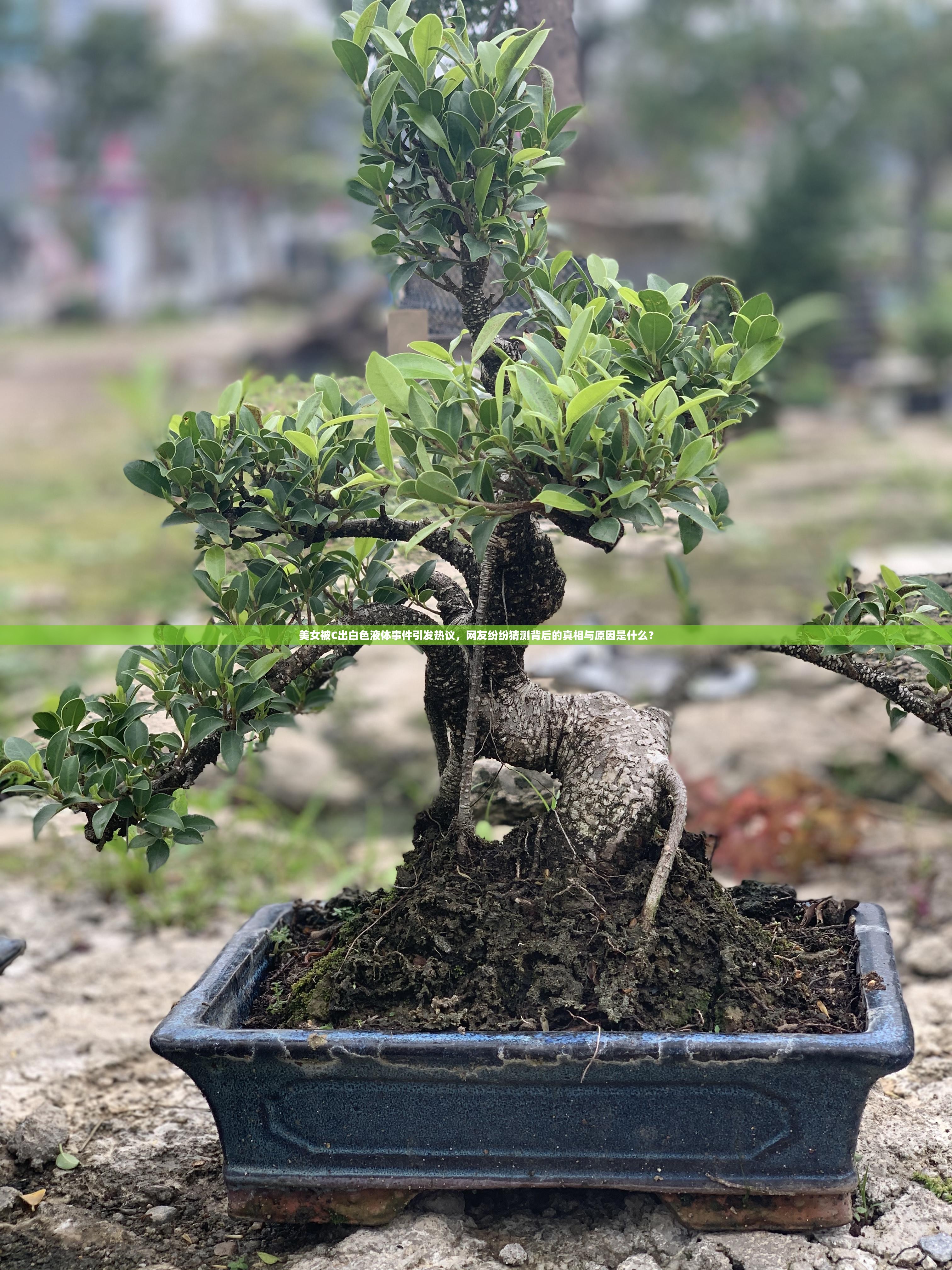 美女被C出白色液體事件引發(fā)熱議，網(wǎng)友紛紛猜測(cè)背后的真相與原因是什么？