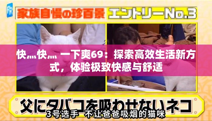 快灬快灬 一下爽69：探索高效生活新方式，體驗極致快感與舒適