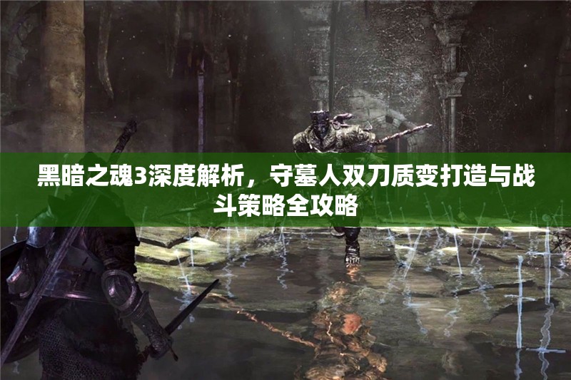 黑暗之魂3深度解析，守墓人雙刀質(zhì)變打造與戰(zhàn)斗策略全攻略
