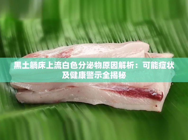 黑土躺床上流白色分泌物原因解析：可能癥狀及健康警示全揭秘