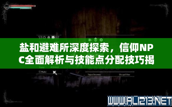 鹽和避難所深度探索，信仰NPC全面解析與技能點(diǎn)分配技巧揭秘