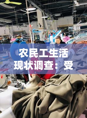 農(nóng)民工生活現(xiàn)狀調(diào)查：受XXXⅩ高潮69影響下的真實故事與挑戰(zhàn)