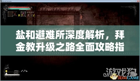 鹽和避難所深度解析，拜金教升級之路全面攻略指南