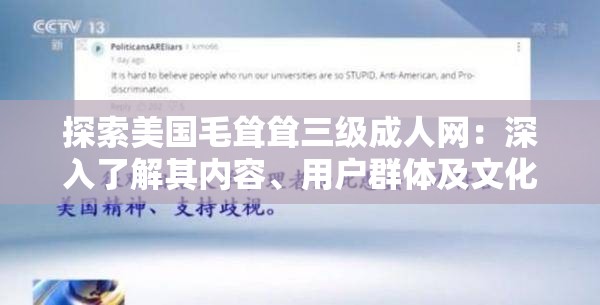 探索美國(guó)毛聳聳三級(jí)成人網(wǎng)：深入了解其內(nèi)容、用戶群體及文化影響