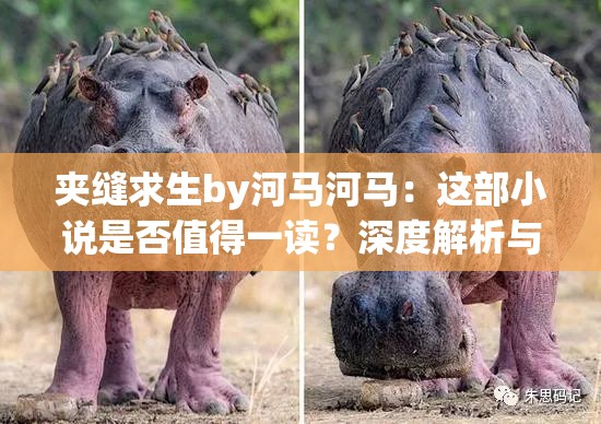 夾縫求生by河馬河馬：這部小說(shuō)是否值得一讀？深度解析與讀者評(píng)價(jià)