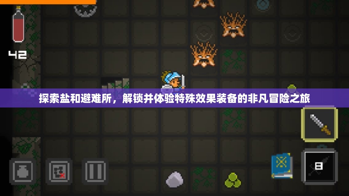 探索鹽和避難所，解鎖并體驗(yàn)特殊效果裝備的非凡冒險(xiǎn)之旅