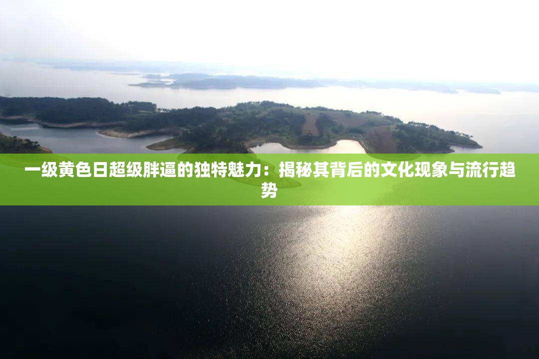 一級(jí)黃色日超級(jí)胖逼的獨(dú)特魅力：揭秘其背后的文化現(xiàn)象與流行趨勢(shì)