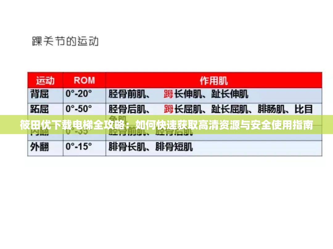 筱田優(yōu)下載電梯全攻略：如何快速獲取高清資源與安全使用指南