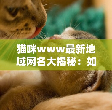 貓咪www最新地域網(wǎng)名大揭秘：如何的愛貓取一個獨特又符合地域特色的名字？
