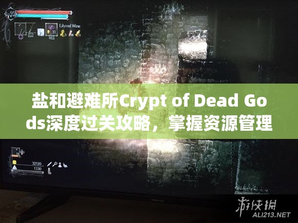 鹽和避難所Crypt of Dead Gods深度過關(guān)攻略，掌握資源管理的藝術(shù)與策略