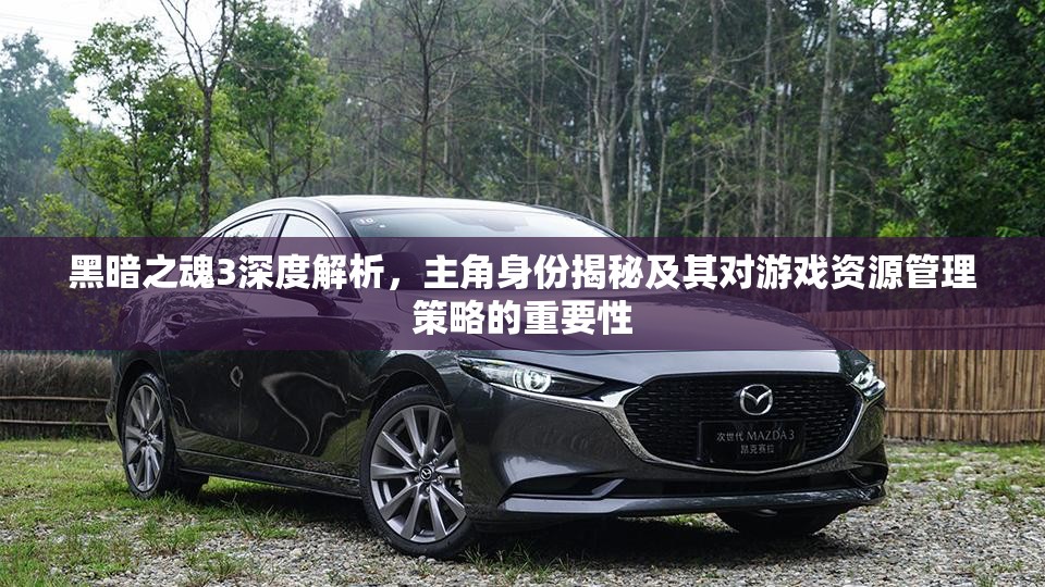黑暗之魂3深度解析，主角身份揭秘及其對(duì)游戲資源管理策略的重要性