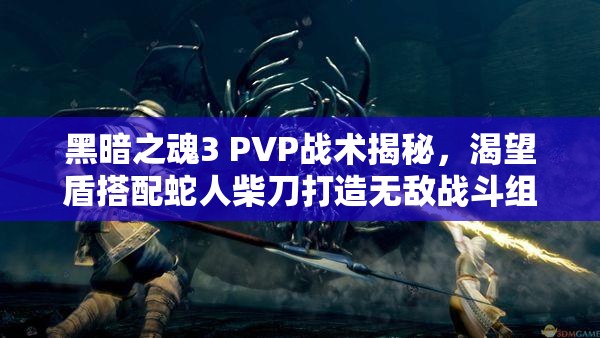 黑暗之魂3 PVP戰(zhàn)術(shù)揭秘，渴望盾搭配蛇人柴刀打造無(wú)敵戰(zhàn)斗組合