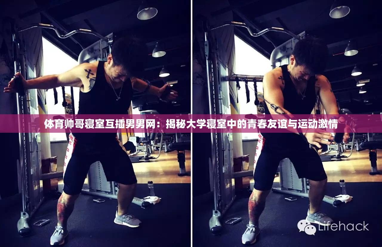 體育帥哥寢室互插男男網(wǎng)：揭秘大學(xué)寢室中的青春友誼與運(yùn)動(dòng)激情