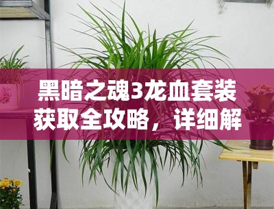 黑暗之魂3龍血套裝獲取全攻略，詳細(xì)解析龍血套裝獲得方法與步驟