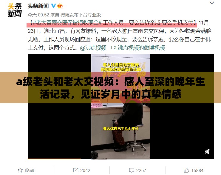 a級老頭和老太交視頻：感人至深的晚年生活記錄，見證歲月中的真摯情感