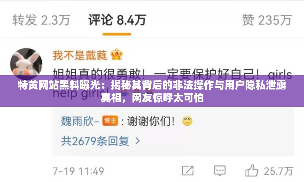 特黃網(wǎng)站黑料曝光：揭秘其背后的非法操作與用戶隱私泄露真相，網(wǎng)友驚呼太可怕