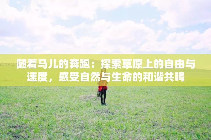 隨著馬兒的奔跑：探索草原上的自由與速度，感受自然與生命的和諧共鳴