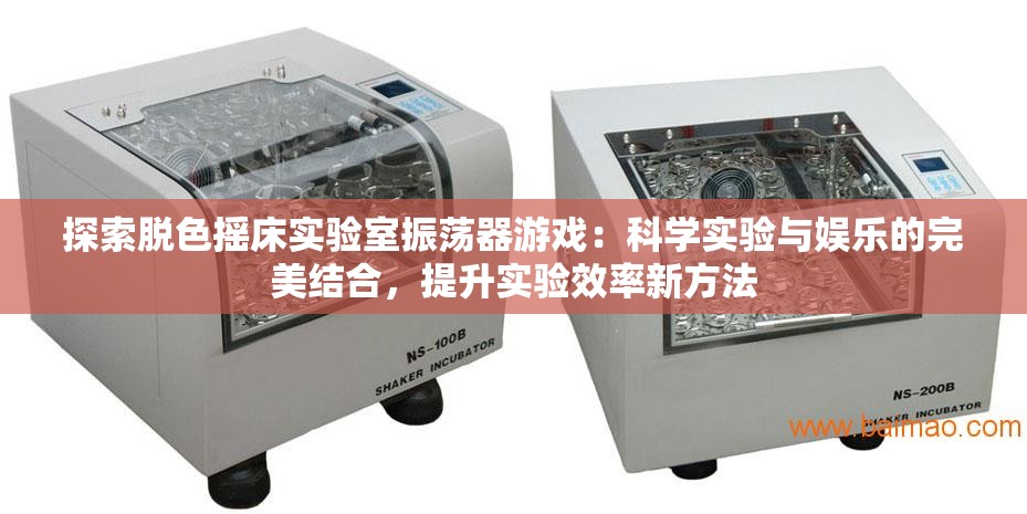 探索脫色搖床實驗室振蕩器游戲：科學實驗與娛樂的完美結(jié)合，提升實驗效率新方法