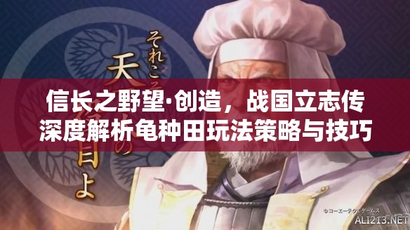 信長之野望·創(chuàng)造，戰(zhàn)國立志傳深度解析龜種田玩法策略與技巧