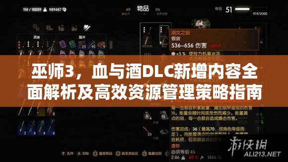 巫師3，血與酒DLC新增內(nèi)容全面解析及高效資源管理策略指南