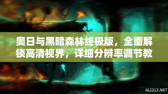 奧日與黑暗森林終極版，全面解鎖高清視界，詳細(xì)分辨率調(diào)節(jié)教程大揭秘