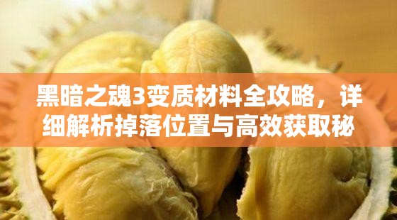 黑暗之魂3變質材料全攻略，詳細解析掉落位置與高效獲取秘籍