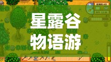 星露谷物語游戲高清視界開啟指南，全面解析分辨率設置全攻略
