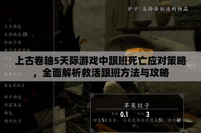 上古卷軸5天際游戲中跟班死亡應(yīng)對(duì)策略，全面解析救活跟班方法與攻略