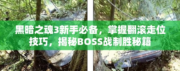 黑暗之魂3新手必備，掌握翻滾走位技巧，揭秘BOSS戰(zhàn)制勝秘籍