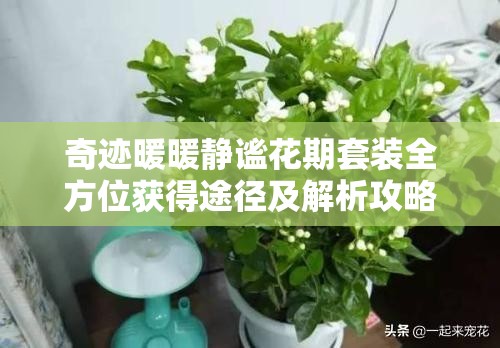 奇跡暖暖靜謐花期套裝全方位獲得途徑及解析攻略