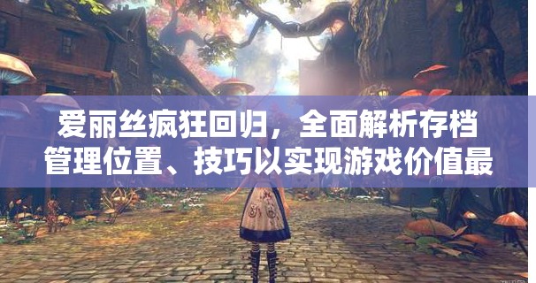 愛麗絲瘋狂回歸，全面解析存檔管理位置、技巧以實現(xiàn)游戲價值最大化