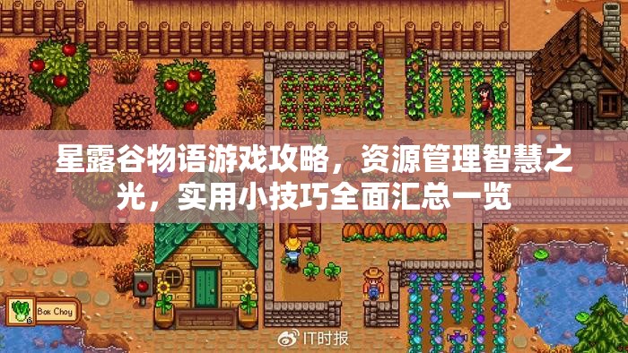 星露谷物語(yǔ)游戲攻略，資源管理智慧之光，實(shí)用小技巧全面匯總一覽