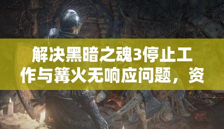 解決黑暗之魂3停止工作與篝火無(wú)響應(yīng)問(wèn)題，資源管理技巧與重要性探討