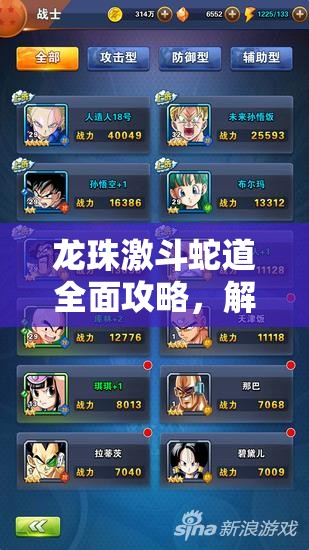 龍珠激斗蛇道全面攻略，解鎖關(guān)卡技巧與高效BUFF選擇智慧之道