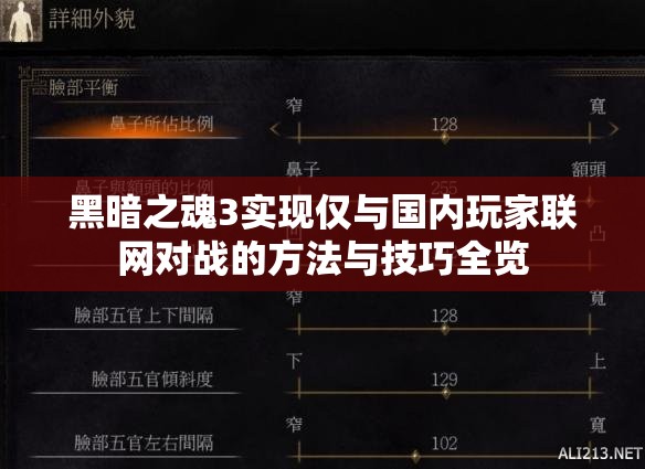 黑暗之魂3實(shí)現(xiàn)僅與國(guó)內(nèi)玩家聯(lián)網(wǎng)對(duì)戰(zhàn)的方法與技巧全覽